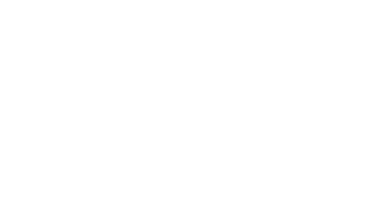 Arise Capital Advisory